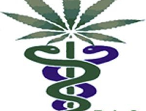 Comunicato di Pazienti Impazienti Cannabis (P.I.C.) e L.I.L.A. Toscana sulla terapia con Cannabis in Toscana